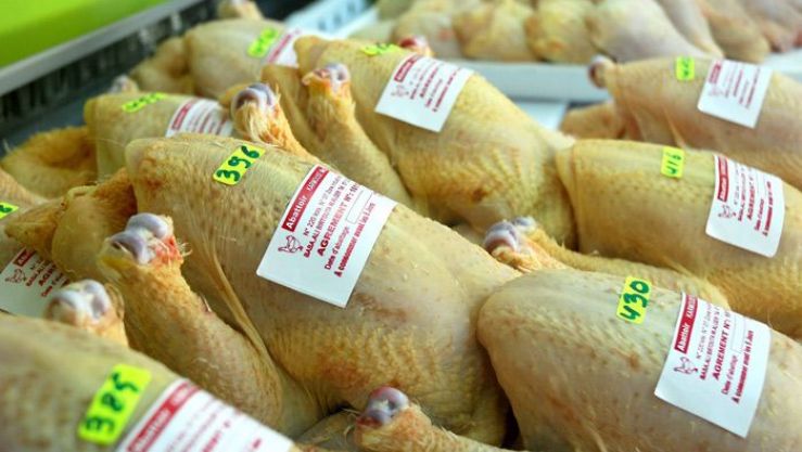 كانت القطيعة بسبب الصحراء المغربية.. الجزائر تضطر لاستئناف حركة التجارة مع إسبانيا لحل أزمة قطاع الدواجن