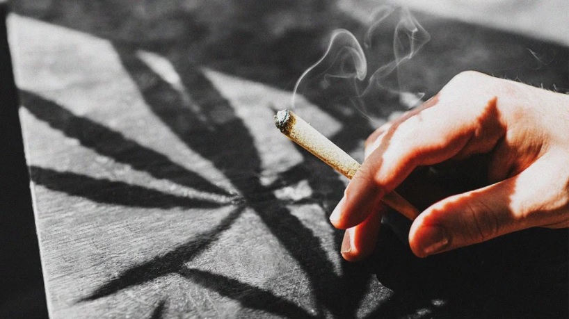 لصعوبة إيقاف تهريبه.. مسؤول إسباني يطالب مدريد بتقنين استهلاك مخدر "الحشيش" في البلاد