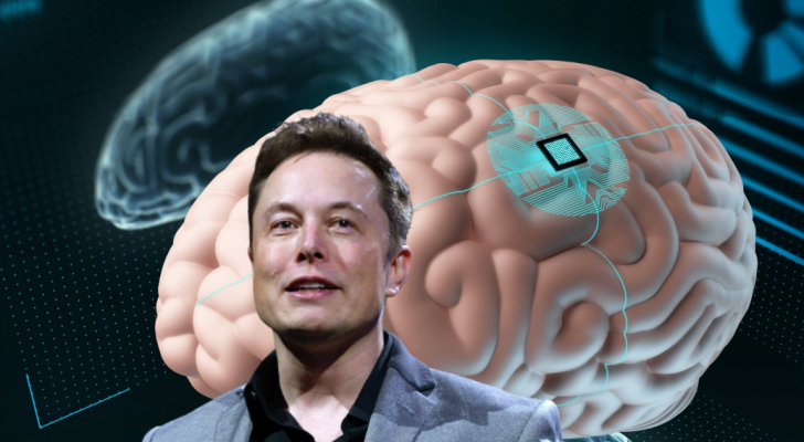  بعد تجارب على قرود.. إيلون ماسك يكشف عن شرائح دماغية تُعيد البصر للمكفوفين 