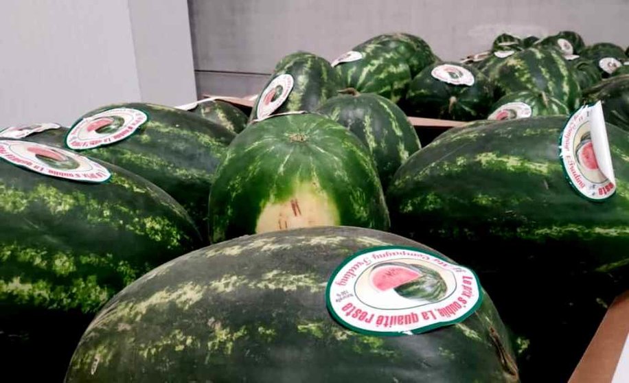 من جديد.. تنبيه صحي في إسبانيا بسبب شحنة بطيخ مغربي تحتوي على بقايا مبيد "الكلوربيريفوس" الممنوع أوروبيا ومغربيا