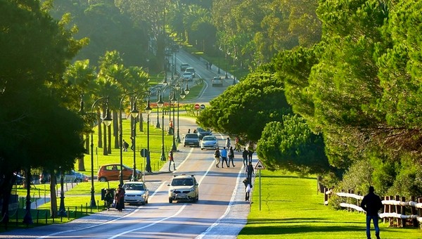 تخصيص 34,6 مليون درهم لتأهيل وحماية الغابات الحضرية بطنجة