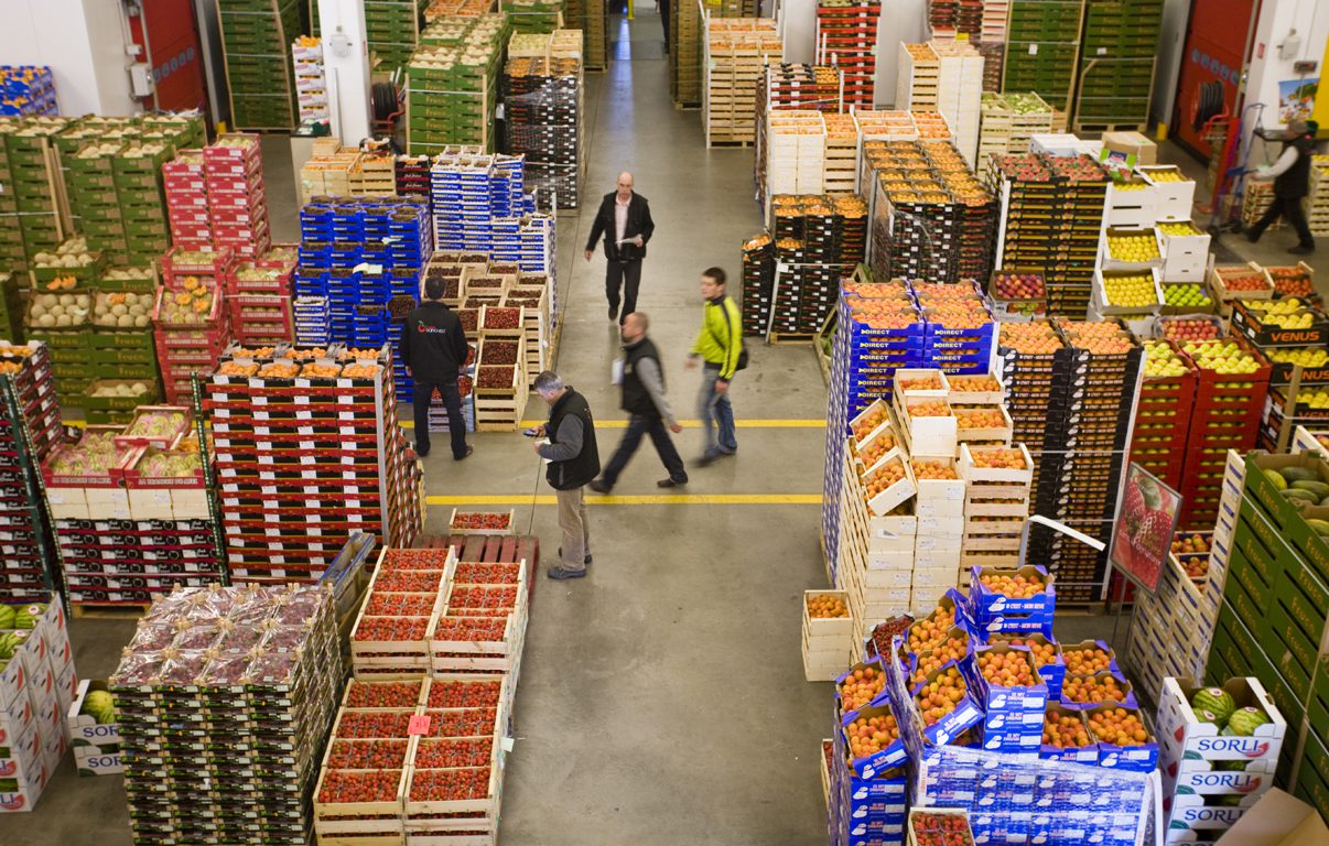  بعد سوق الاتحاد الأوروبي وروسيا.. المغرب ينتظر تأشير الحكومة الصينية لاقتحام سوق تضم أكثر من مليار و200 مليون مستهلك لتصدير فاكهته الحمراء 