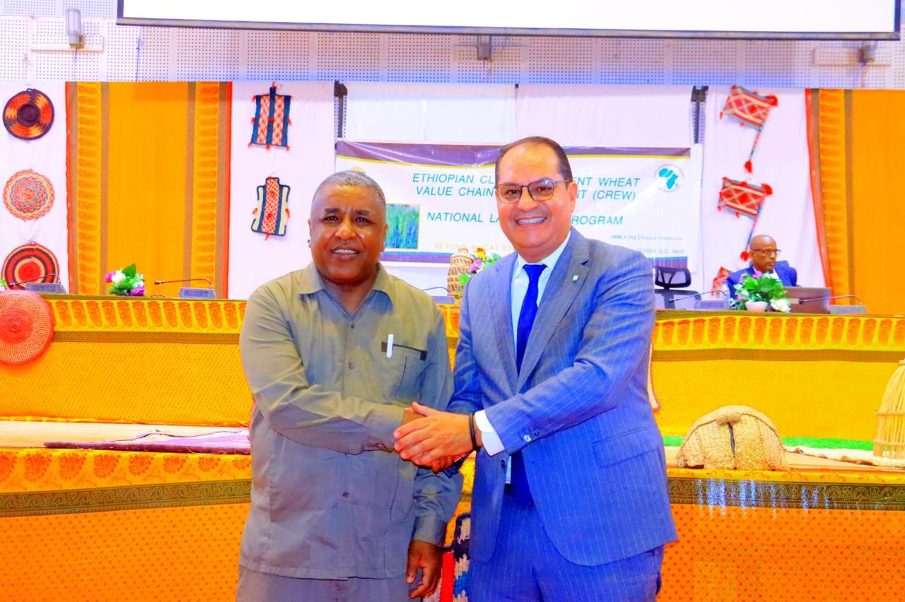  الـ"OCP" فرع إفريقيا يُعلن الانضمام إلى مشروع يدعم تطوير القمح المقاوم للمناخ بإثيوبيا 