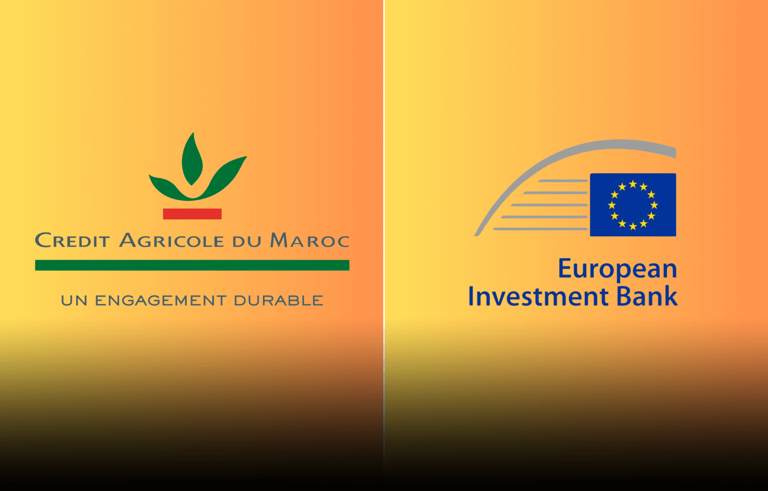  لقاء للقرض الفلاحي للمغرب وبنك الاستثمار الأوروبي للتحسيس بقضايا تغير المناخ وتعزيز حلول مستدامة للاقتصاد المغربي 