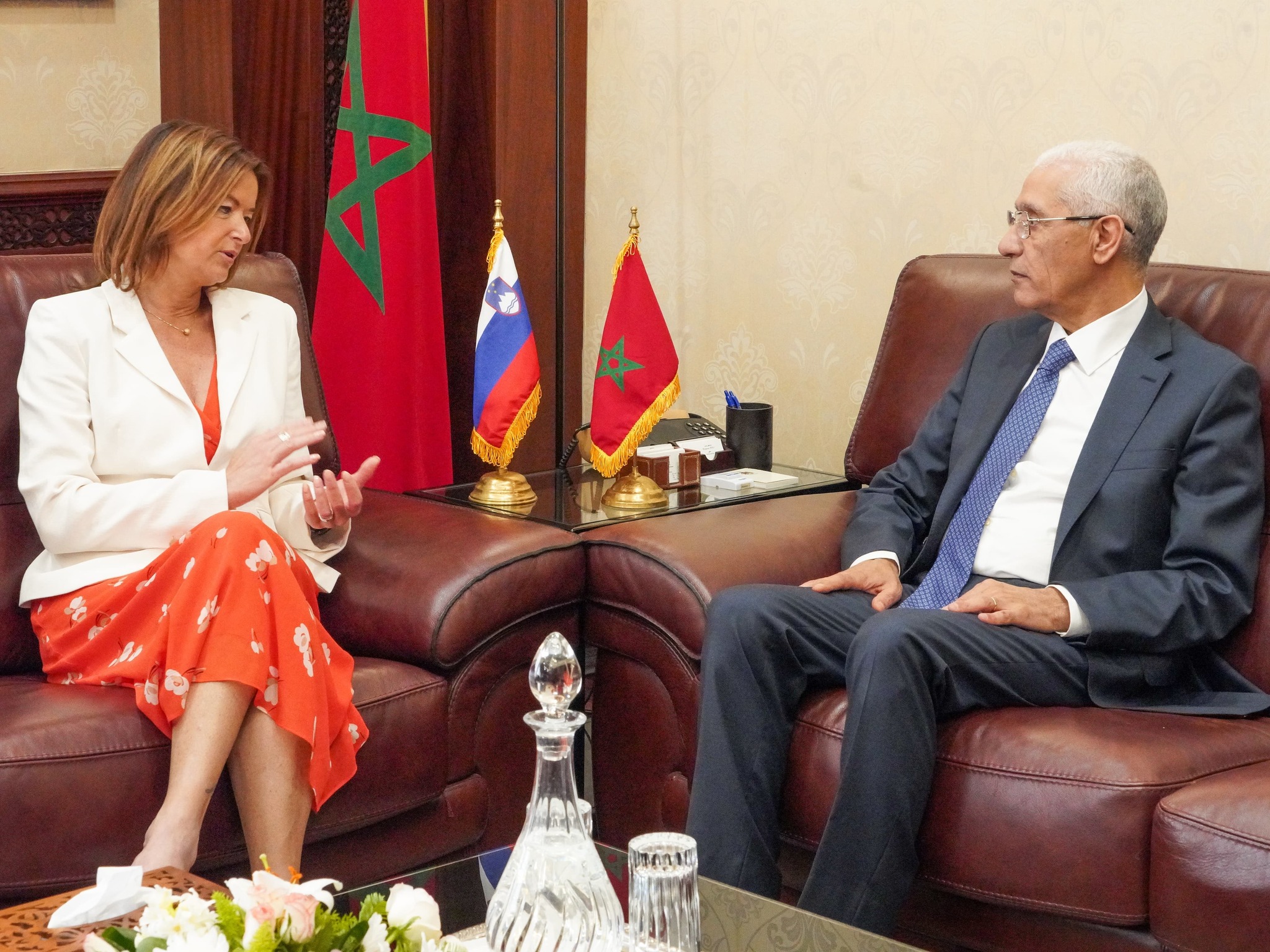  الطالبي العالمي يجري مباحثات مع وزيرة خارجية سلوفينيا حول تعزيز التعاون بين برلماني البلدين 