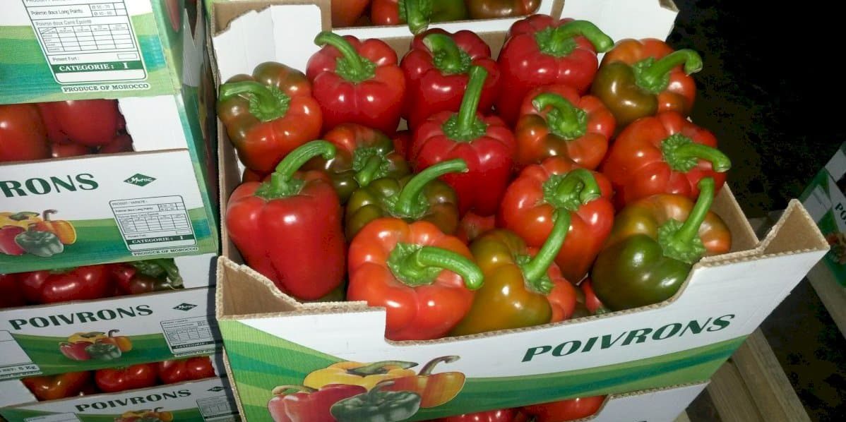 تحذير أوروبي جديد من تلوث شحنة فلفل قادمة من المغرب يفتح باب عودة الحملات المضادة للبضائع الفلاحية المغربية في إسبانيا