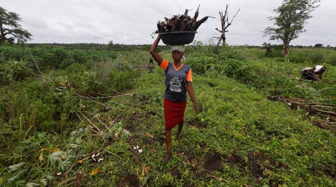  دعم إماراتي لصغار المزارعين بالسودان بقيمة خمسة ملايين دولار 