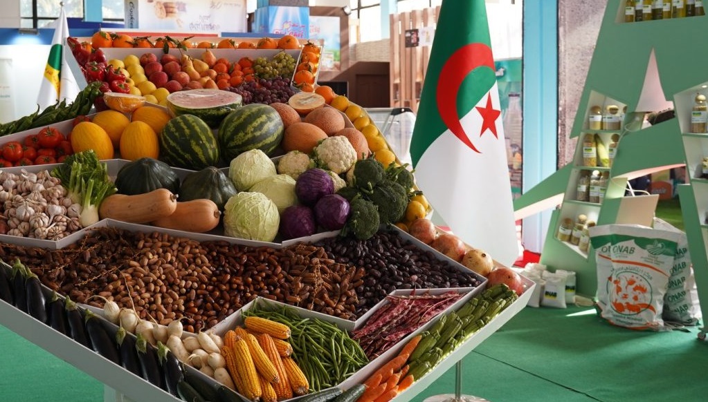  الجزائر ضمن قائمة أكبر مصدري التمور إلى المغرب 