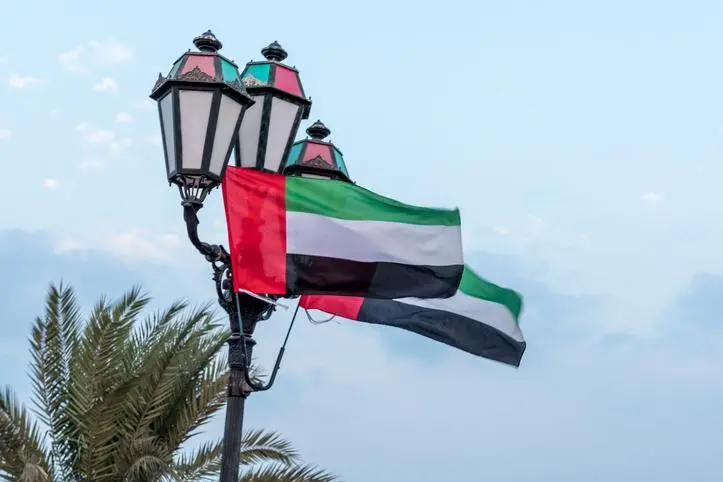 الإمارات تطلق منصة رقمية لتحفيز الاستثمار في الأسواق الافريقية