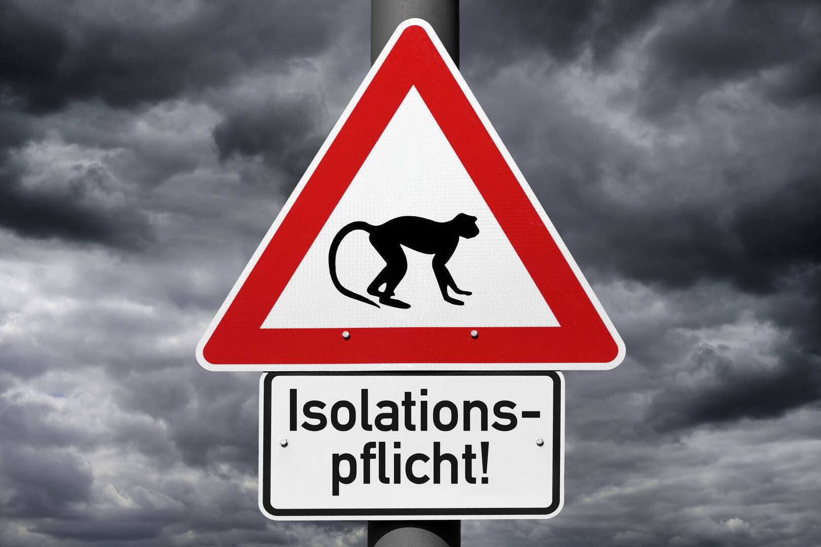  منظمة الصحة العالمية تحذ ر من تسجيل حالات إضافية من جدري القردة في أوروبا 