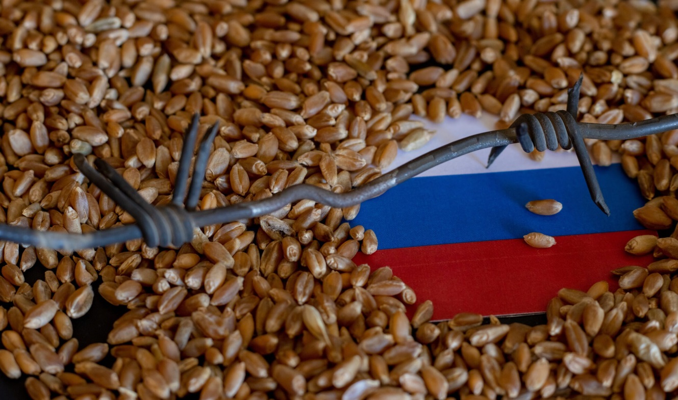  المغرب يستورد أكثر من 200 ألف طن من الحبوب من روسيا.. وموسكو تعرب عن رغبتها في تعزيز التعاون التجاري مع المملكة 