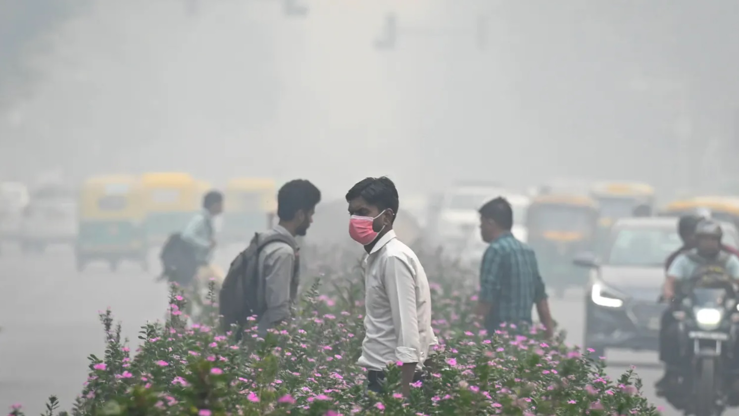 دراسة: الهند أكبر مسبب للتلوث البلاستيكي في العالم