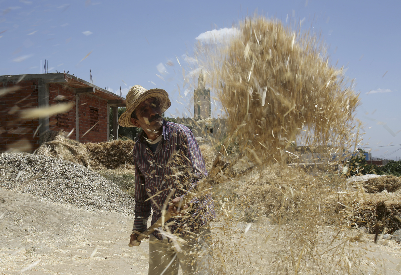  تأثيرات الجفاف على القطاع الفلاحي بالمغرب.. تراجع المحصول وتوجه نحو الاستيراد 
