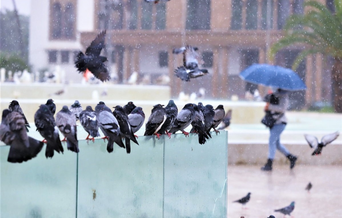  زخات رعدية مصحوبة بحبات البر د وبهبات رياح مرتقبة من الثلاثاء إلى الخميس بعدد من مناطق المملكة  