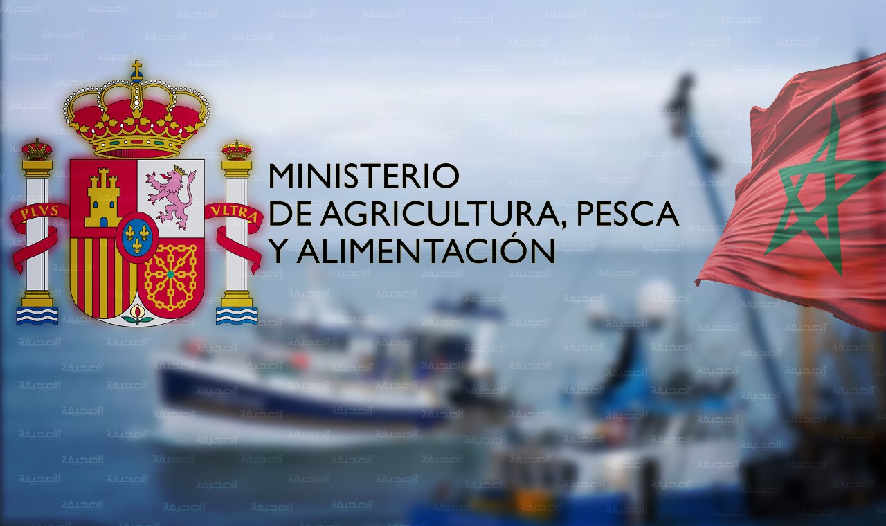  وزارة الفلاحة والصيد الإسبانية لـ"الصحيفة": ندرس السبل الممكنة للتعاون مع المغرب بعد قرار محكمة العدل الأوروبية 