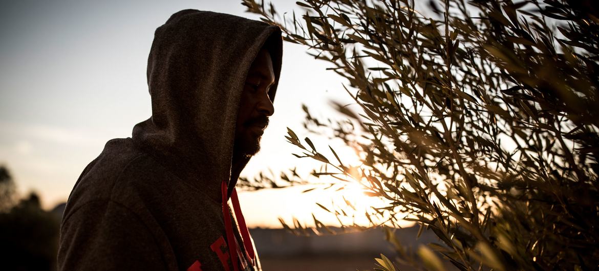 خُبراء أمميّون يُحذّرون من النقل القسري المسلح والاعتداءات على الحدود التونسية