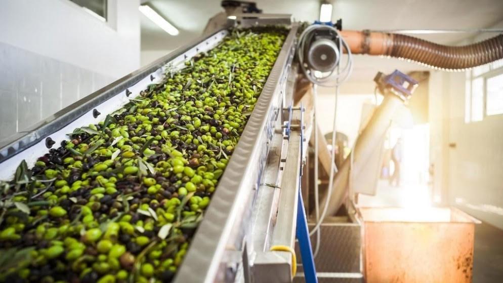  ارتفاع صاروخي لأسعار زيت الزيتون بالمغرب يدفع الحكومة لترخيص الاستيراد دون تفاؤل كبير بنجاعة الحل 