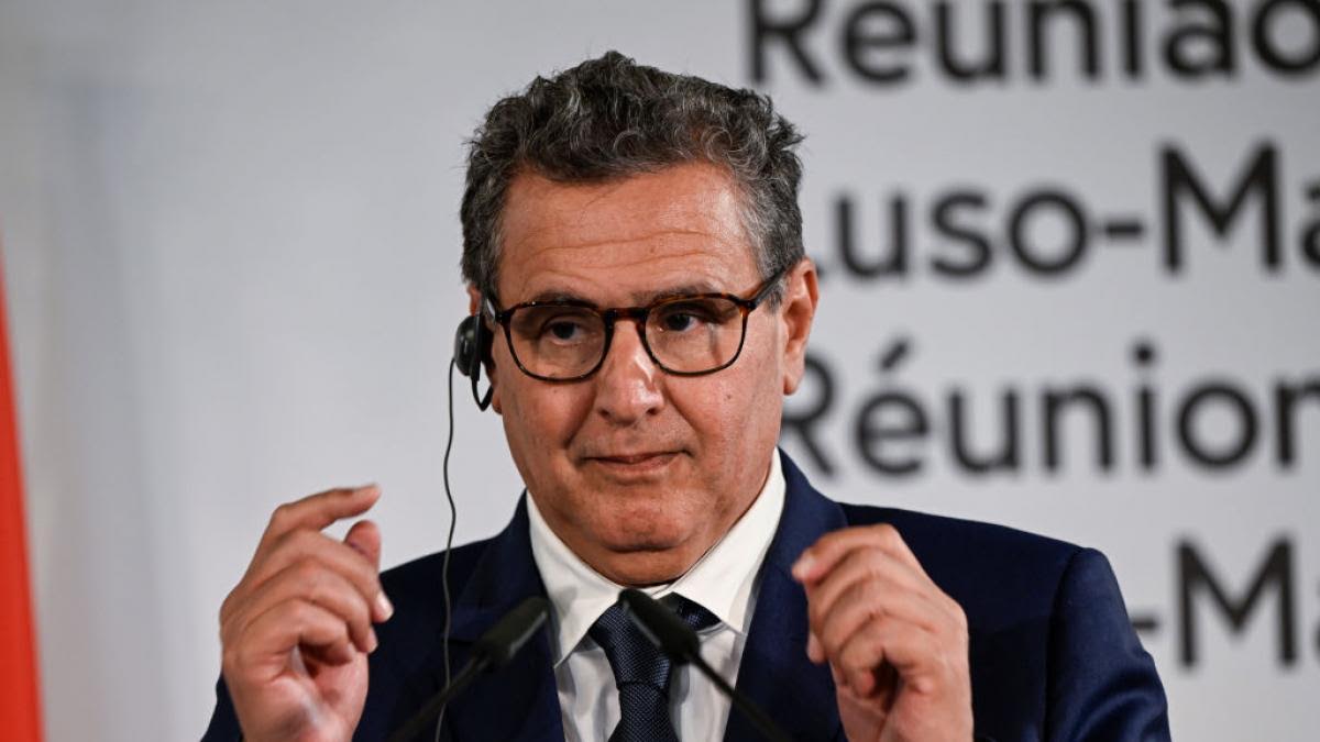  أخنوش يُنهي سنة 2024 بتحسن في ثروته مع توقعات بنموها بعد صفقة تحلية مياه الدار البيضاء 