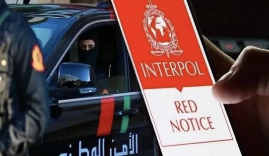 الدار البيضاء.. توقيف فرنسي من أصل جزائري مطلوب دولياً في قضايا المخدرات وغسيل الأموال