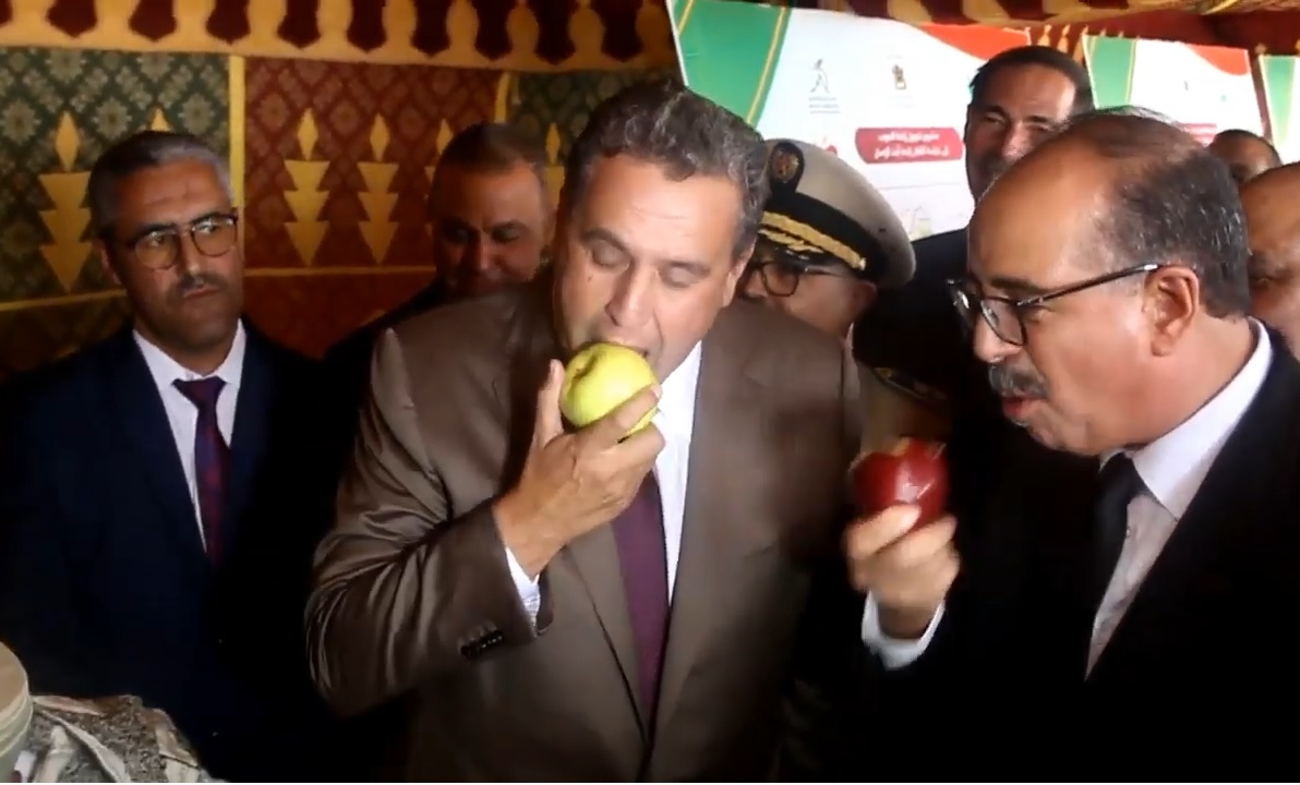  بعد 17 عامًا من سيطرة أخنوش على الفلاحة.. فرق الأغلبية تُقر بفشل سياسته التصديرية وتطالب بكبح استنزاف الموارد وسط جفاف يهدد الأمن الغذائي 