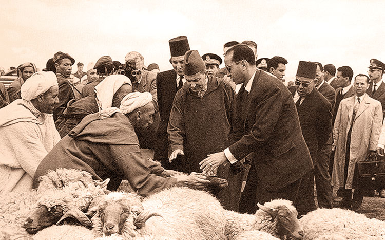  إلغاء عيد الأضحى في المغرب.. محطات تاريخية من حرب الرمال إلى أزمة الجفاف 2024 في عهد مخطط "المغرب الأخضر" 