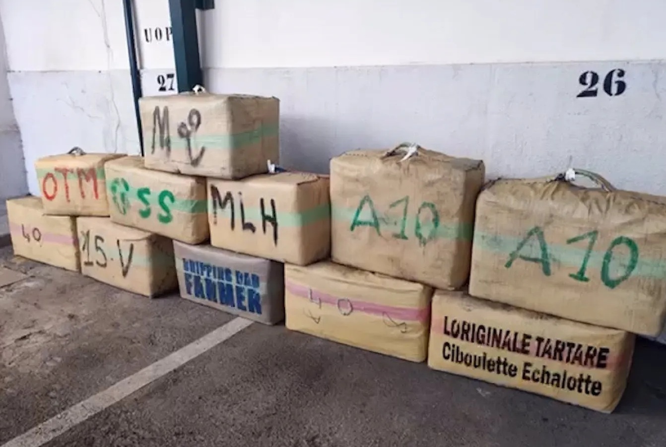 إسبانيا.. عملية أمنية ضخمة توقع بعصابة "إل طارطا" المتخصصة في تهريب الحشيش القادم من المغرب