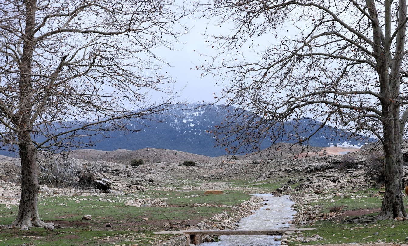 علماء يطورون نموذجا جديدا للتنبؤ بالطقس يعتمد على الذكاء الاصطناعي