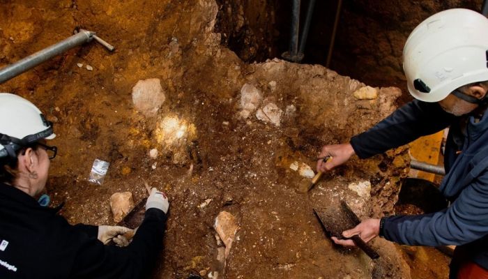 العثور على أقدم وجه بشري في غرب أوروبا يعود لأكثر من مليون عام