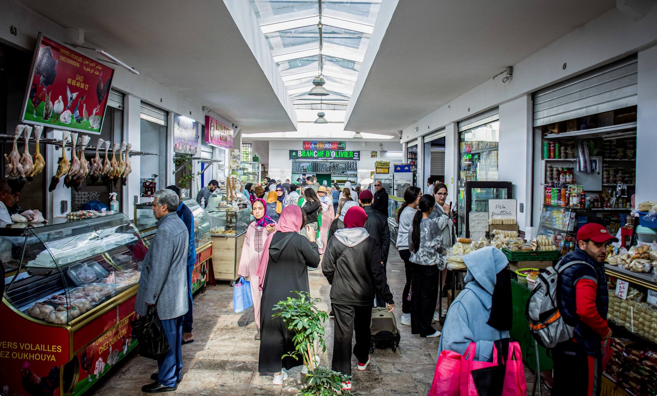 المؤشر الاجتماعي بين خطاب الدولة الاجتماعية ومأزق القطاع غير المهيكل.. دعم مباشر أم وهمٌ مُحكم الإخراج؟