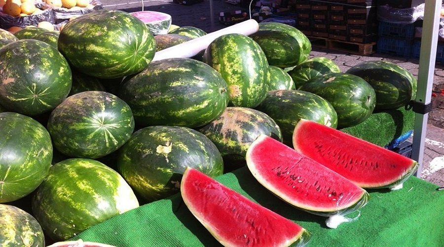  بعد عاصفة زاكورة.. الدلاح المغربي يستأنف حملة التصدير 