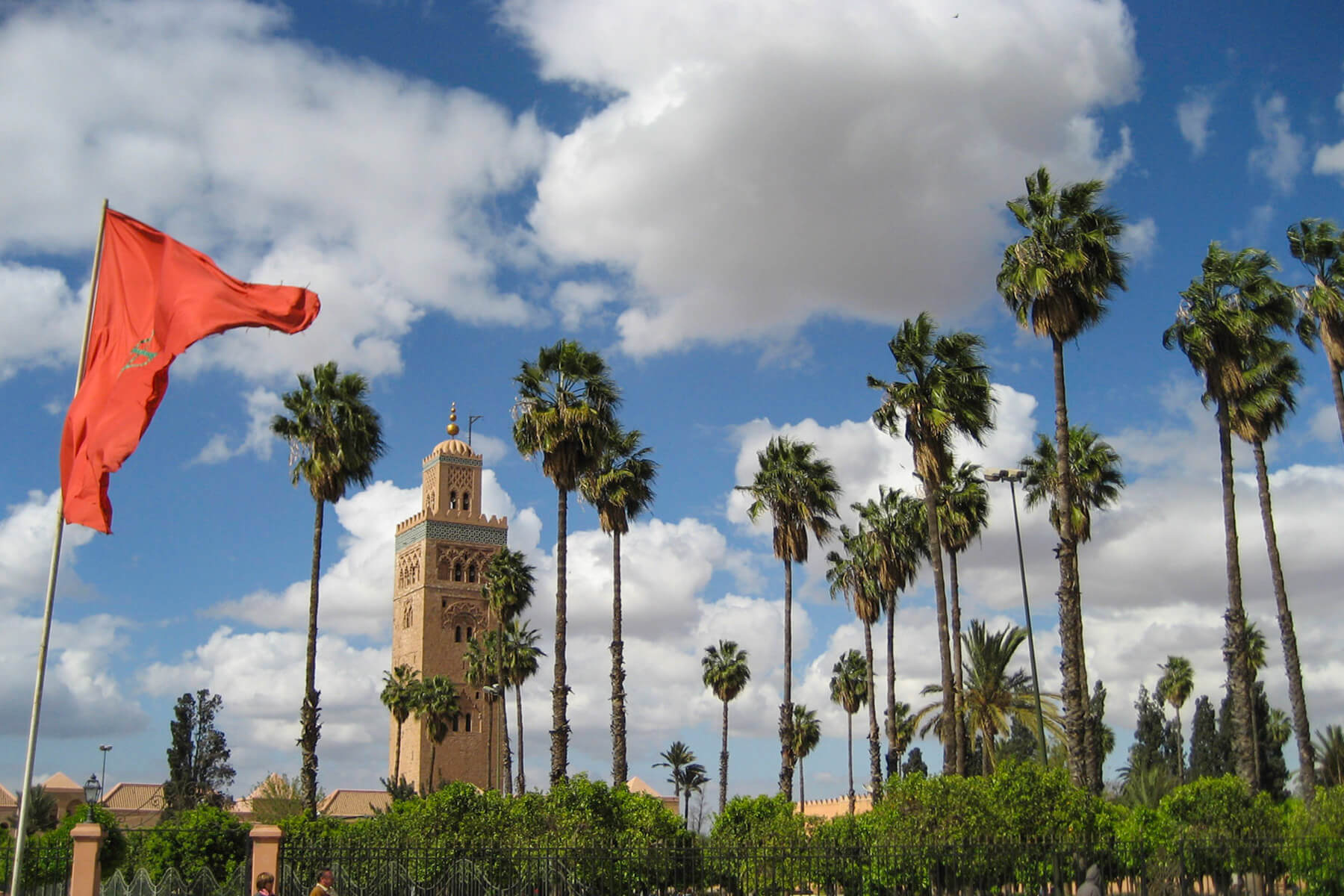 المغرب وتونس ومصر في صدارة التصنيف البيئي الإفريقي لعام 2025.. والجزائر خارج التصنيف