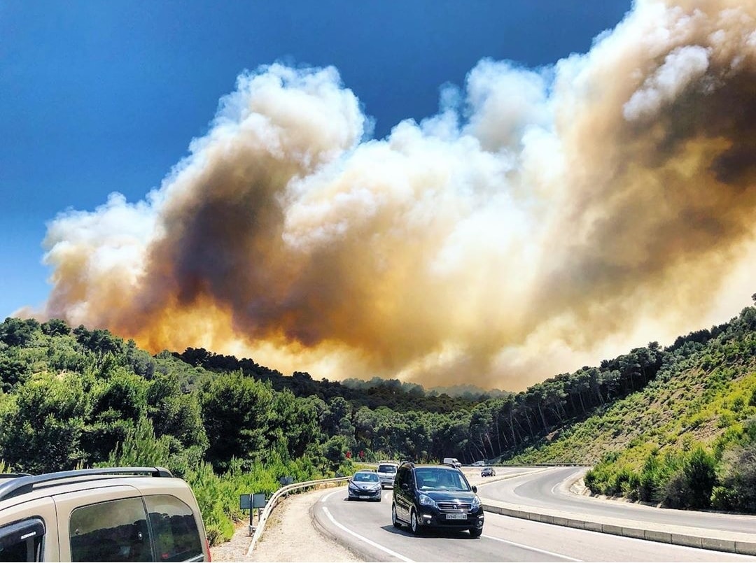 حريق "عين الحصن" طال 15 هتارا واحتاج إلى 67 طلعة جوية بواسطة "كنادير" لإخماده