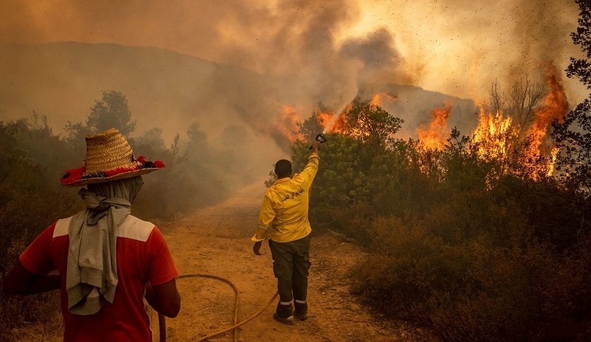 الوكالة الوطنية للمياه والغابات تحذر من خطر اندلاع حرائق غابوية بعدد من مناطق المملكة