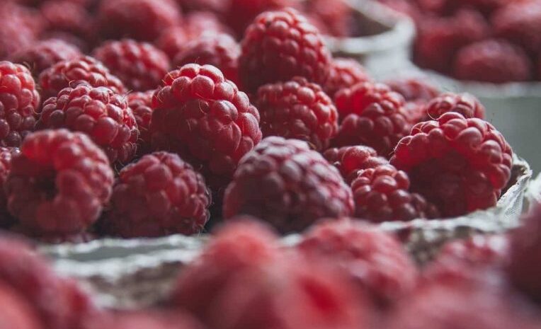  صادرات المغرب من التوت الأحمر إلى الشرق الأوسط تُحقق رقما قياسيا غير مسبوق بتجاوزها 700 طن 