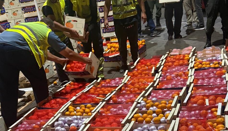 إجهاض محاولة تهريب أربعة أطنان و374 كيلوغراما من مخدر الشيرا بميناء طنجة