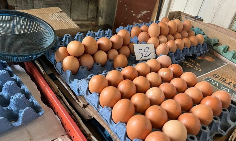 رابطة المستهلكين تطالب بتحقيق عاجل لكشف أسباب ارتفاع أسعار البيض