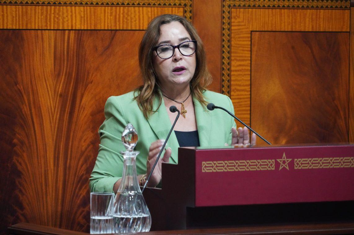  التامني تتحدث عن خريطة فيدرالية اليسار لإصلاحات سياسية وانتخابية قبل "استحقاقات 2026" 