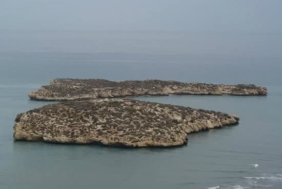 إسبانيا تنزل علمها من جزيرتين صغيرتين قرب مدينة الحسيمة