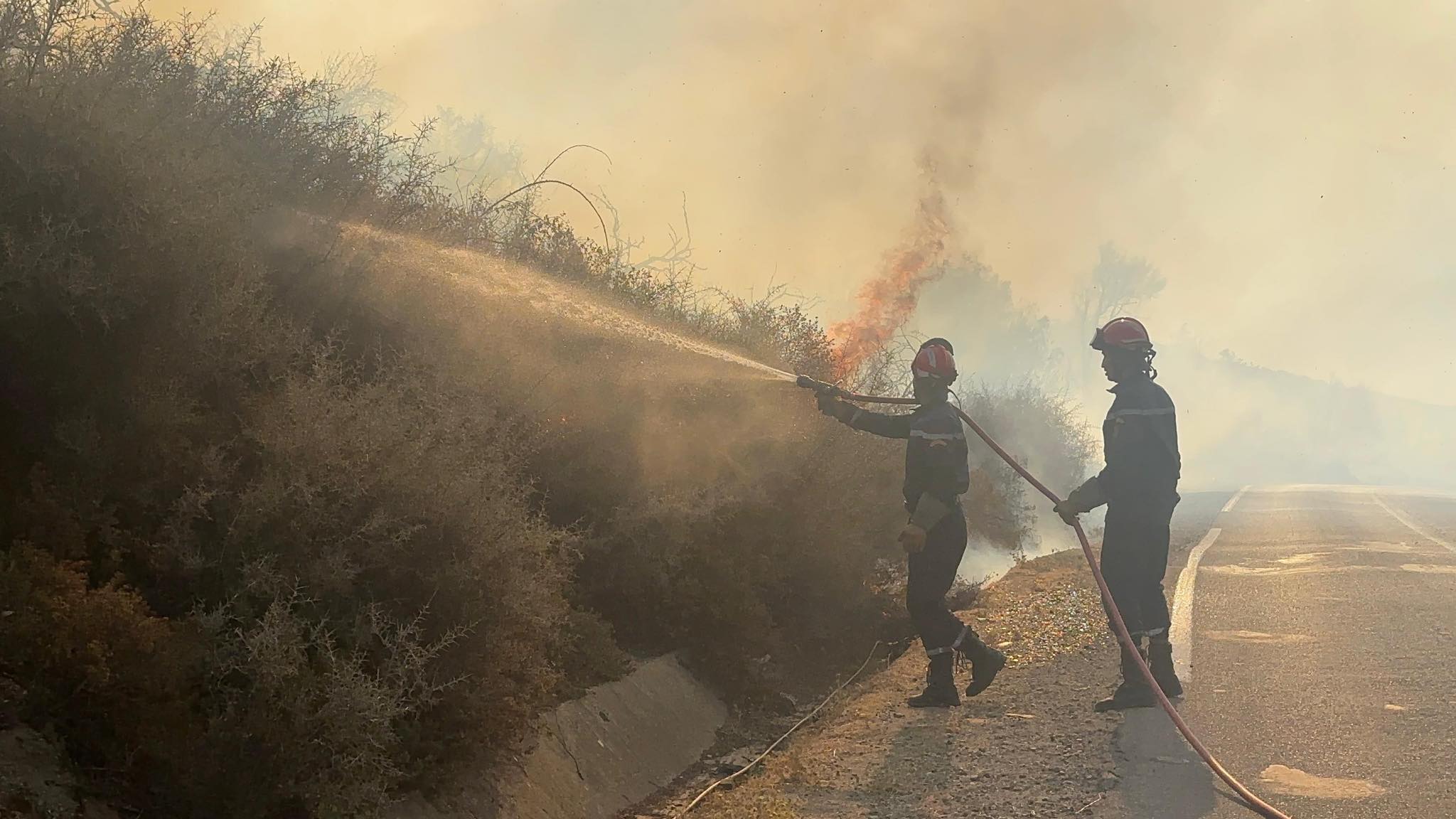 أقاليم الشمال في خانة "الخطورة القصوى".. وكالة المياه والغابات تكشف خرائط استباقية لرصد المناطق الأكثر عرضة لحرائق الغابات
