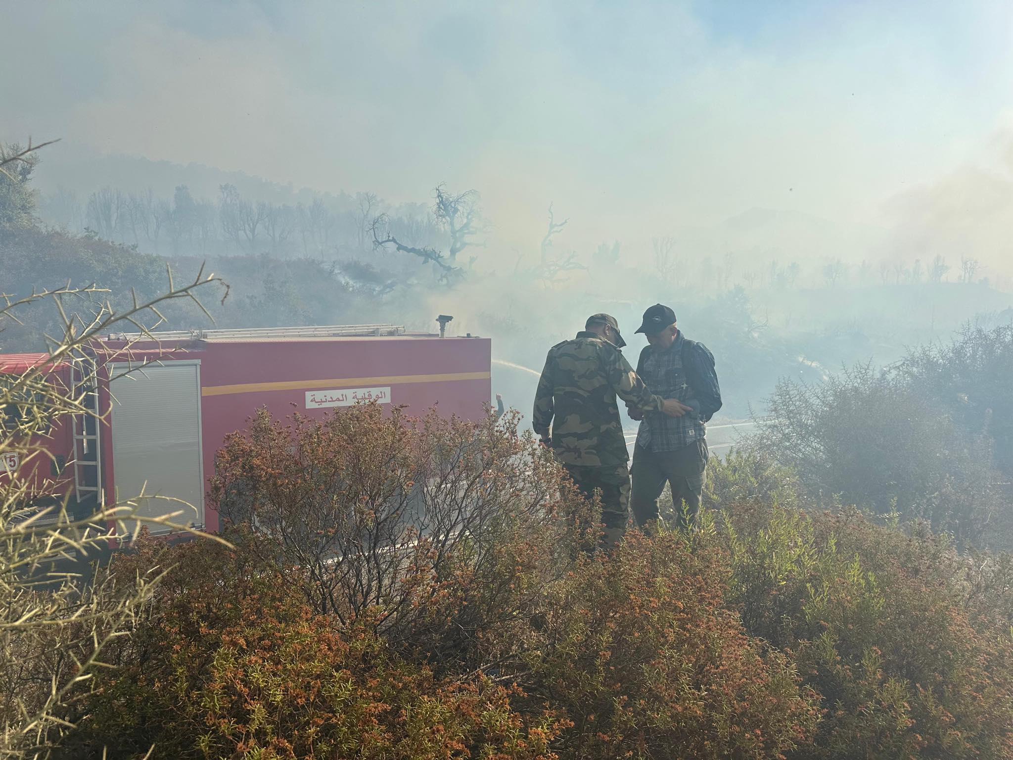  المدير العام للوكالة الوطنية للمياه والغابات لـ"الصحيفة": حريق "دردارة" بشفشاون التهم 500 هكتار من الغابات والرهان هو تطويقه قبل نهاية اليوم 