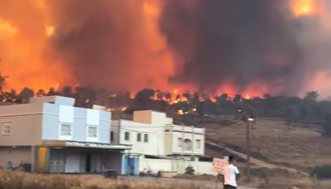  حريق مهول يلتهم مساحات واسعة من الغطاء النباتي ضواحي شفشاون وطائرتان من نوع كنادير تشاركان في الاخماد  