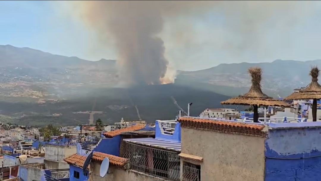   حريق جديد في غابة بني جبارة يستنفر السلطات بشفشاون بعد أيام من خسائر ضخمة في غابات الدردارة 