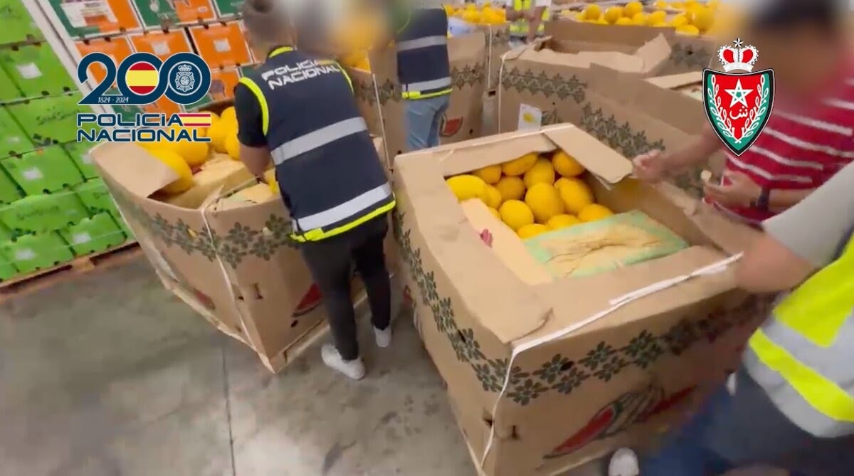  تعاون استخباراتي مغربي إسباني يُسفر عن حجز أكثر من 11 طنا من الحشيش وتفكيك شبكة إجرامية عابرة للحدود بين طنجة والجزيرة الخضراء 