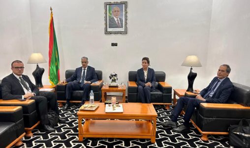 مباحثات بين بنعلي ووزير الطاقة والنفط الموريتاني لتسريع التعاون في الربط الكهربائي والطاقات المتجددة