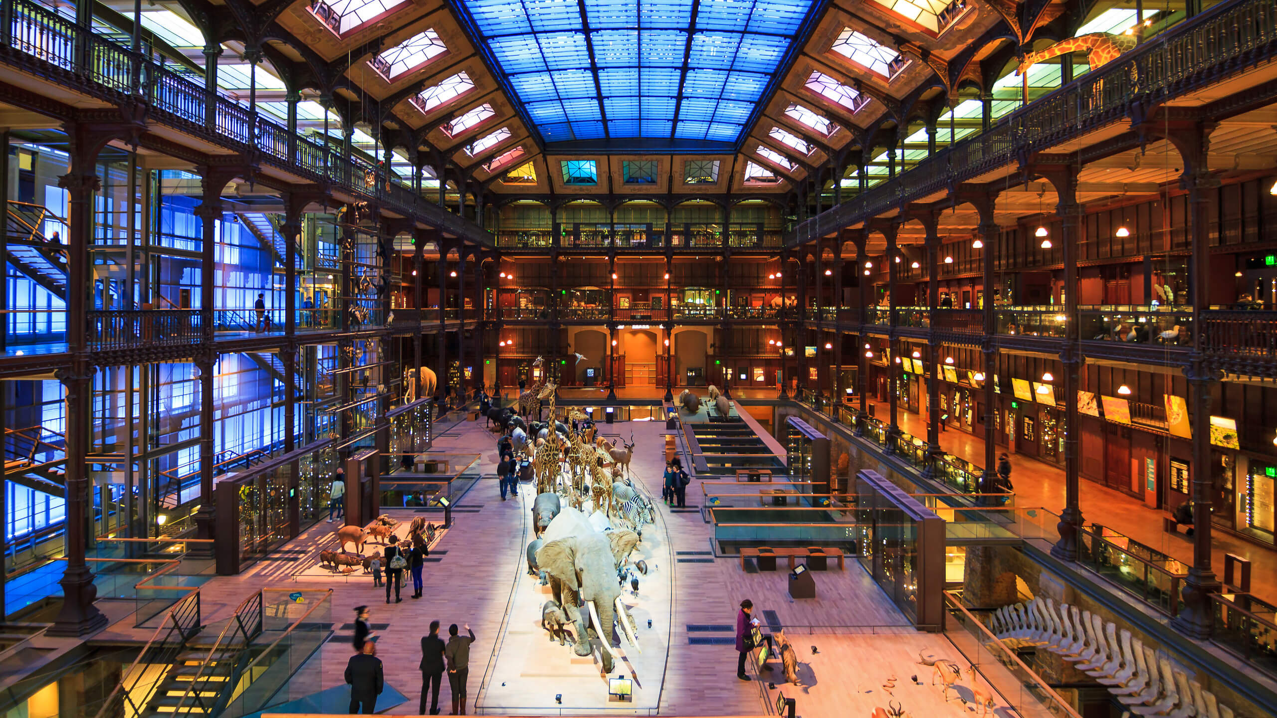 سرقة مقتنيات ذهبية "لا تقدر بثمن" من متحف التاريخ الطبيعي في باريس