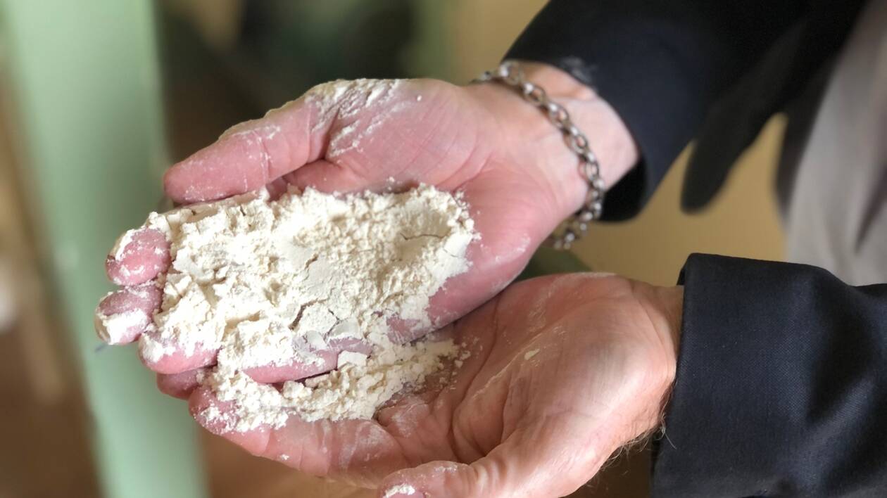  بعد تصريحات التويزي حول طحن الورق لإنتاج الدقيق المدعم.. رئيس الفيدرالية الوطنية للمطاحن: عقدنا اجتماعا طارئا لبحث الخطوات القانونية والإجرائية ضد هذه الاتهامات 