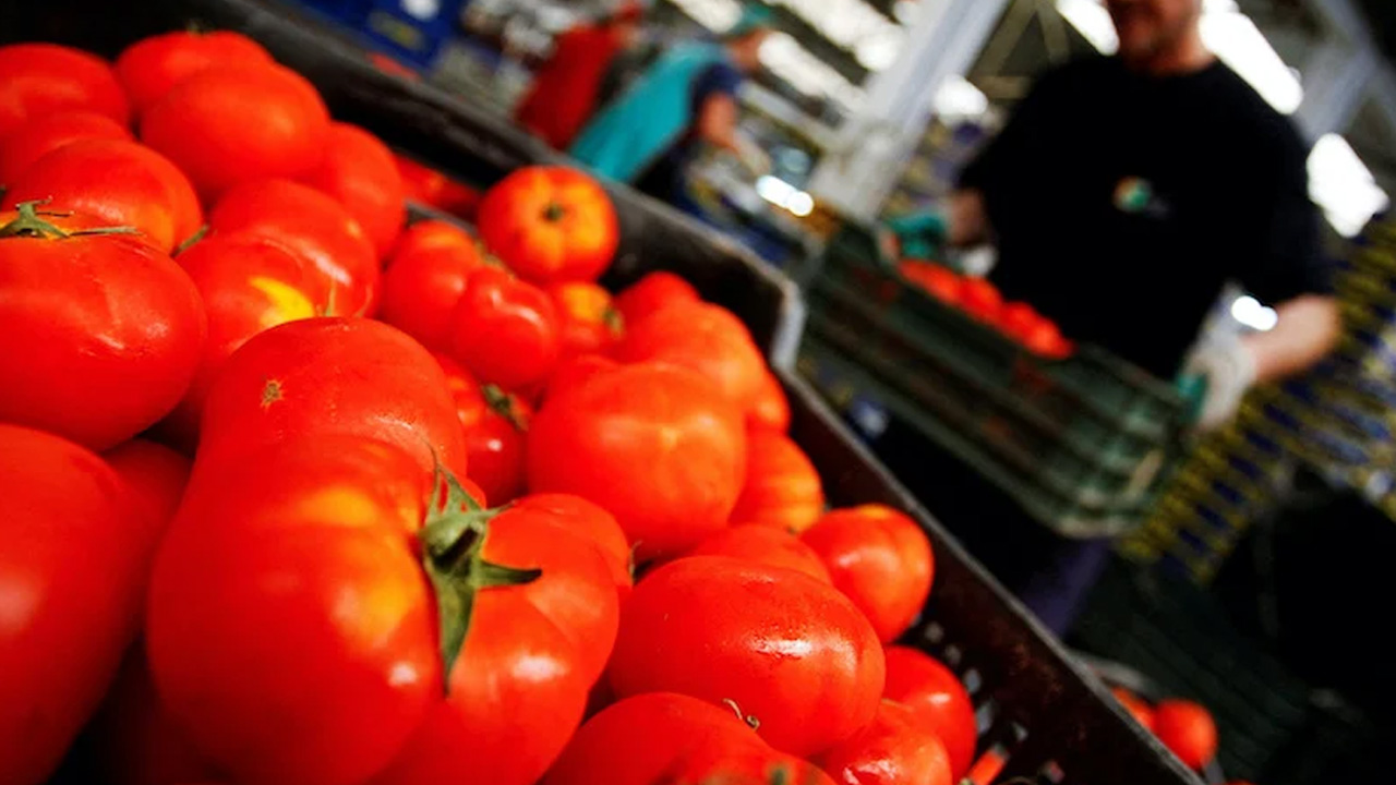 تقرير إسباني: المغرب يصبح تاسع وجهة للصادرات الزراعية الإسبانية متجاوزا الولايات المتحدة بسبب رسوم ترامب