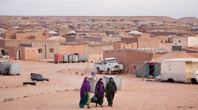  الأمم المتحدة تنهي مهام الدبلوماسي الفلسطيني يوسف جديع في مخيمات تندوف 