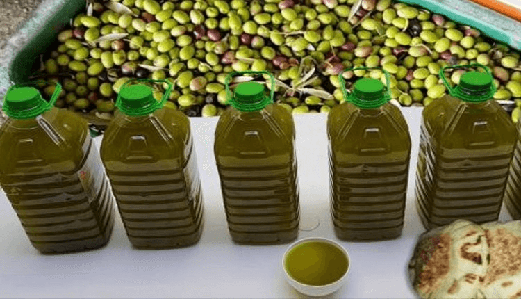  حماية المستهلكين: شحنة زيت الزيتون المضبوطة ببلجيكا مزورة ولا علاقة لها بالمنتج الوطني 