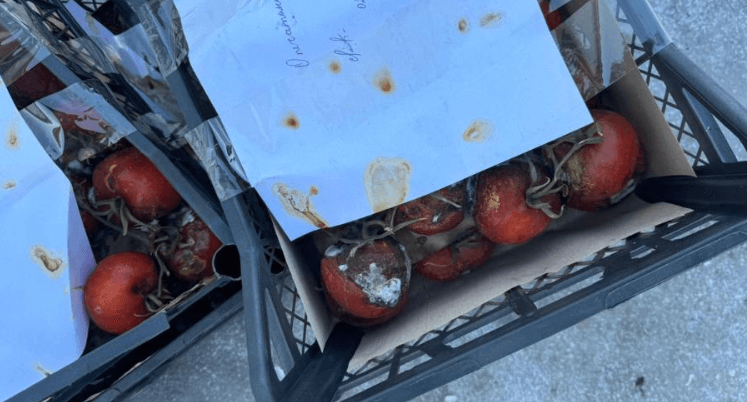  من المغرب إلى تونس وتركيا.. روسيا تطلق أضخم حملة حجر زراعي في 2025 لواردات الخضر والفواكه إلى أسواقها بسبب إصابتها بالفيروسات 